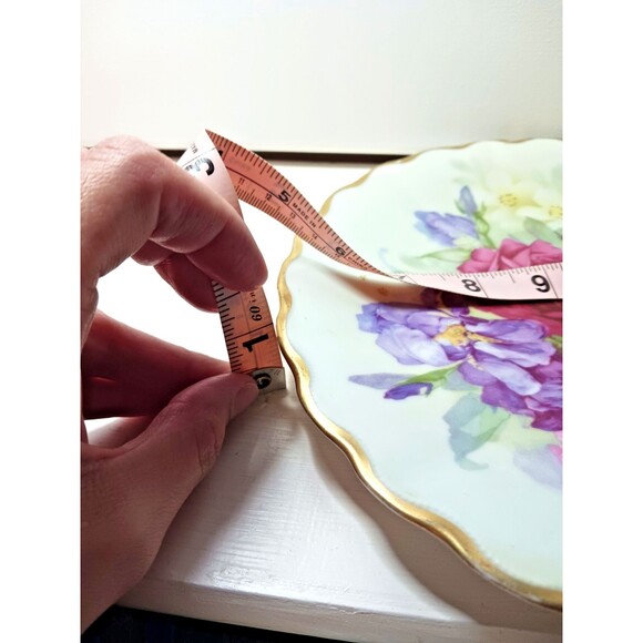 P T Tirschenreuth Bavaria Germany 9" Hand Painted Plate Rose Gold Serpentine - Picture 12 of 13